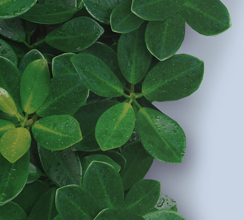 Czynnik chłodniczy R32 w Rotenso Luve Black