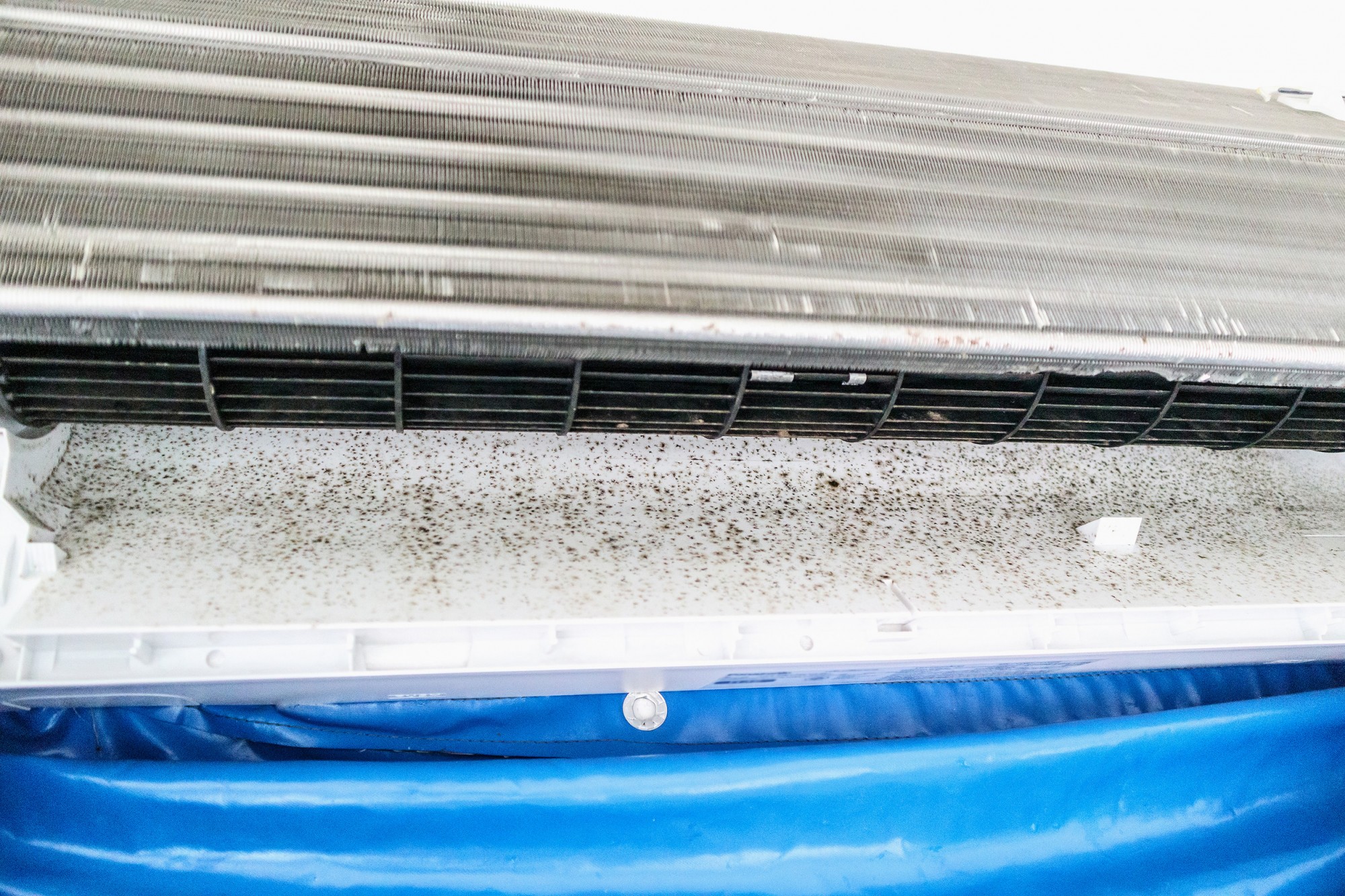 Zagrzybiony parownik w jednostce wewnętrznej klimatyzatora