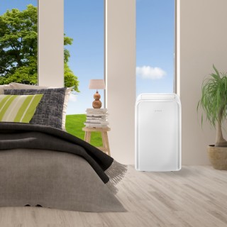 Rotenso Zico, aranżacja